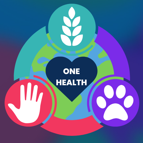 One Health Governance